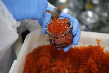 Luksusowy prezent dla Trumpa? Miał otrzymać skyrznkę kawioru z Rosji