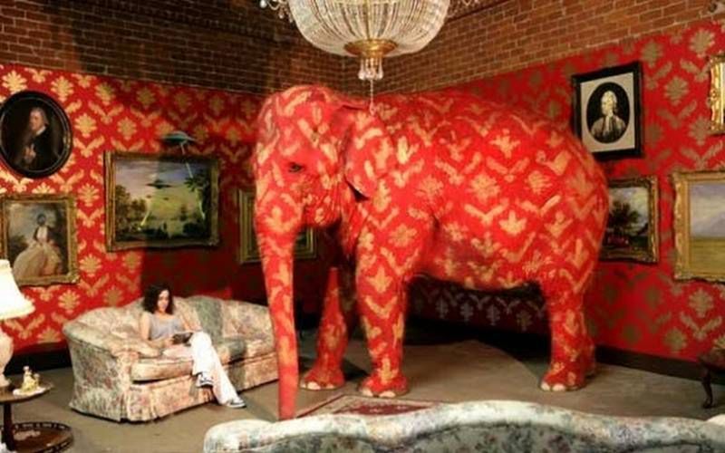 „The elephant in the room” Banksy'ego (Fot. Incidental Genius)