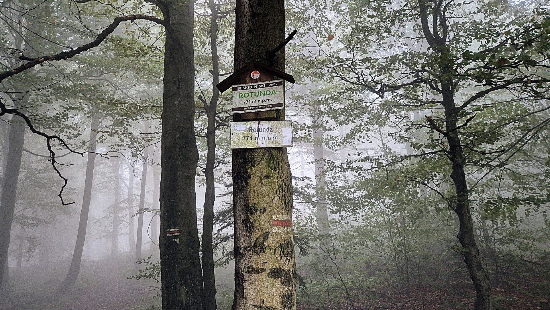 Rotunda w Regietowie