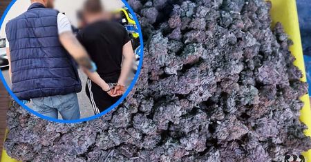 Wałbrzych: Kilogram marihuany, amfetamina i skradziona tablica. Zatrzymania po akcjach kryminalnych