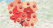 Koronawirus w Polsce. Mapa pokazuje nowe przypadki zachorowań w kolejnych województwach