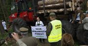 Lasy Państwowe chcą wznowić wycinkę w Puszczy Białowieskiej