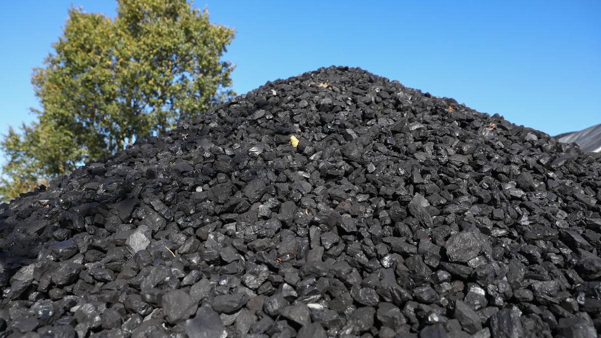 Nawet jeżeli pod jednym adresem, faktycznie znajdują się dwa gospodarstwa domowe, przyznany zostanie wyłącznie jeden dodatek węglowy w wysokości 3 tys. zł. 