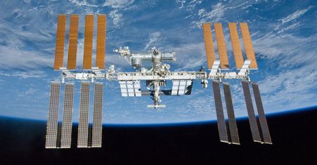 NASA zgubiła pomidory w kosmosie. Po 8 miesiącach chwali się zdjęciem