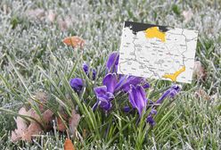 Przed nami kolejna mroźna noc. Alerty dla pięciu województw