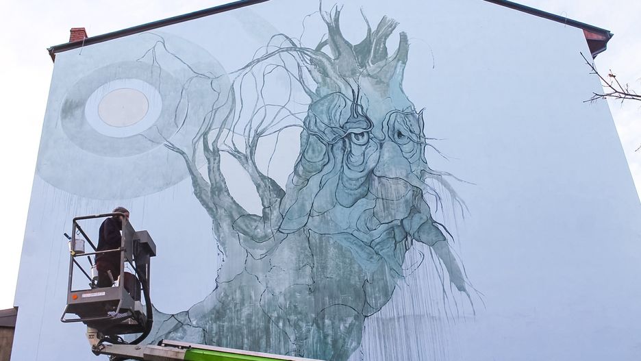 Wierzba ozdobiła ścianę kamienicy w Bielsku-Białej.