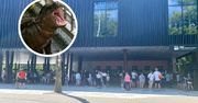 Sensacja w łódzkim zoo. "Pierwszy raz w historii"