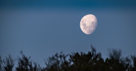 Zaćmienie Księżyca 28 sierpnia. Sprawdź, o której godzinie patrzeć w niebo w Lublinie