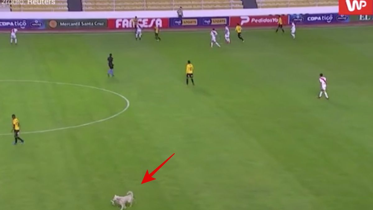 Zaskakujące obrazki w Boliwii 