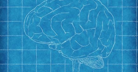 Polacy pracują nad sztucznymi synapsami. Cel: komputer neuromorficzny