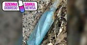 Miłość przekroczyła ocean. Wiadomość w butelce znaleziona po 13 latach