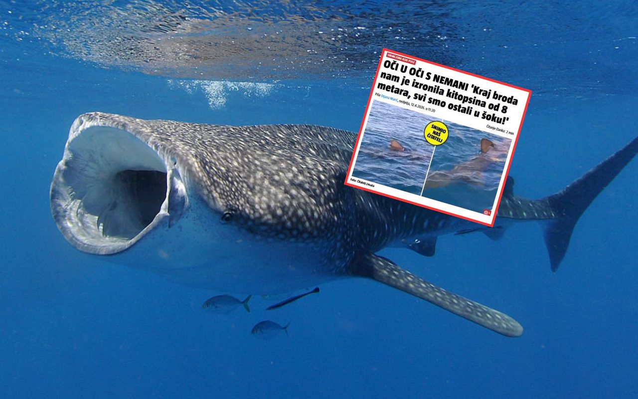 "Oko w oko z potworem". Odkrycie u wybrzeży Chorwacji