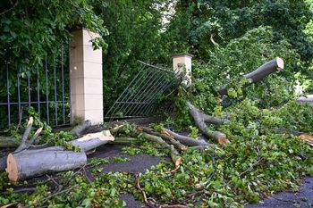 Zniszczenia po nawałnicy w zabytkowym parku w Łańcucie
