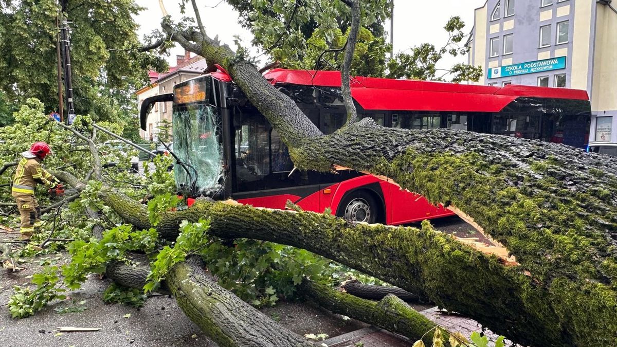 Drzewo zawaliło się na autobus. W środku było ponad 30 osób