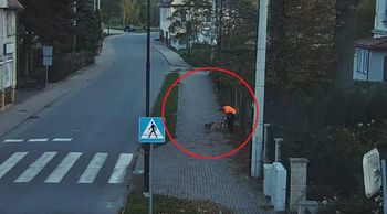 Bogatynia: Agresywne psy zaatakowały chłopca. Interweniowała Straż Miejska