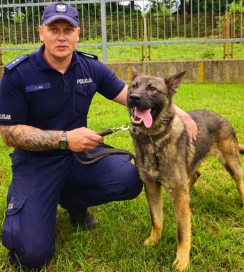 Nisko: Borys na straży prawa. Nowy pies policyjny w komendzie