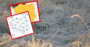 Nowe ostrzeżenia IMGW. Alerty w 15 województwach