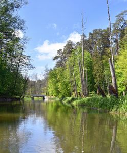 Koszą rzekę na Warmii. Utrudnienia dla turystów