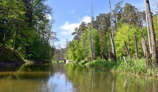Koszą rzekę na Warmii. Utrudnienia dla turystów