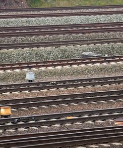 Huta Deręgowska. Pociąg towarowy wjechał w busa. Są ofiary