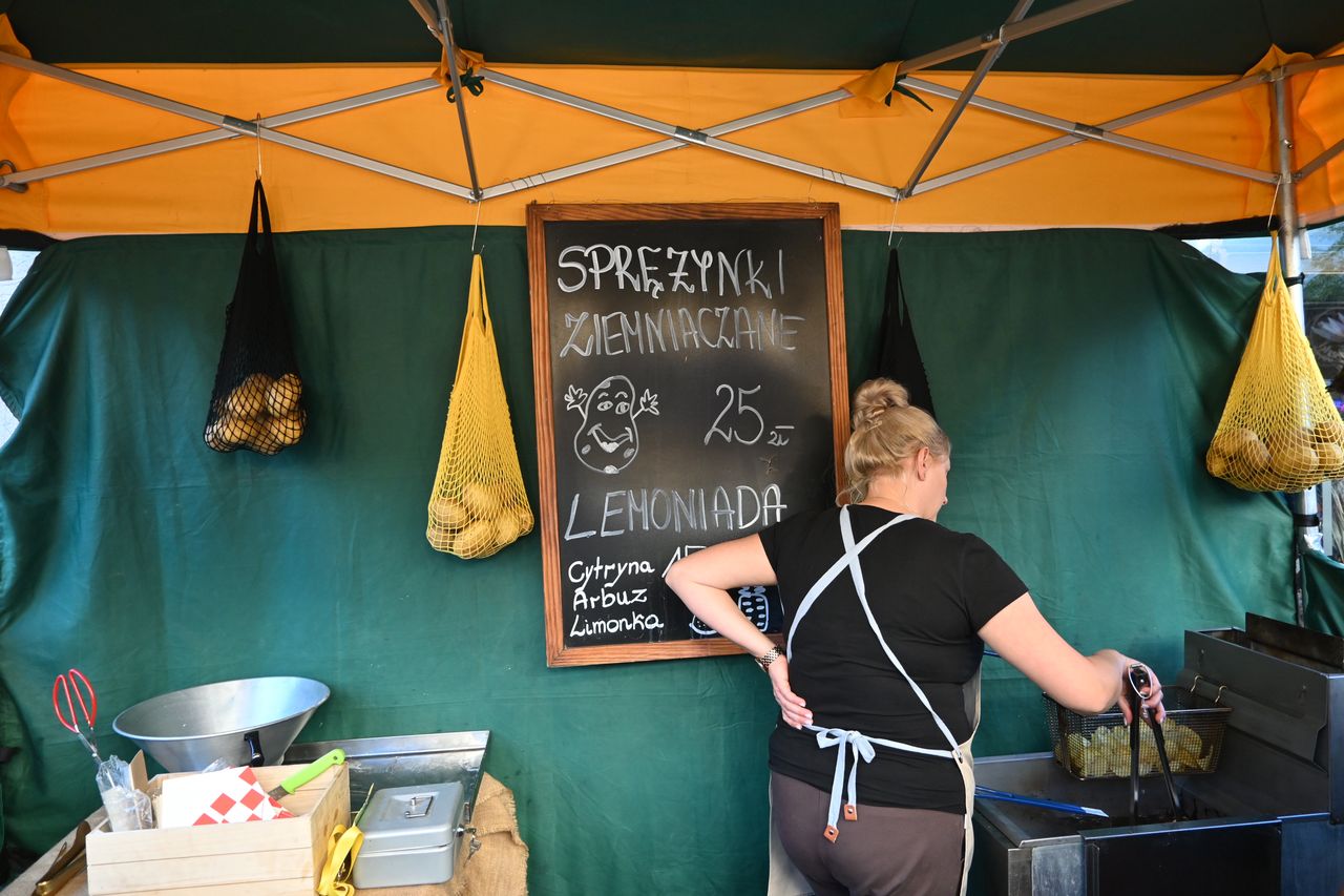 Cena za sprężynki ziemniaczane