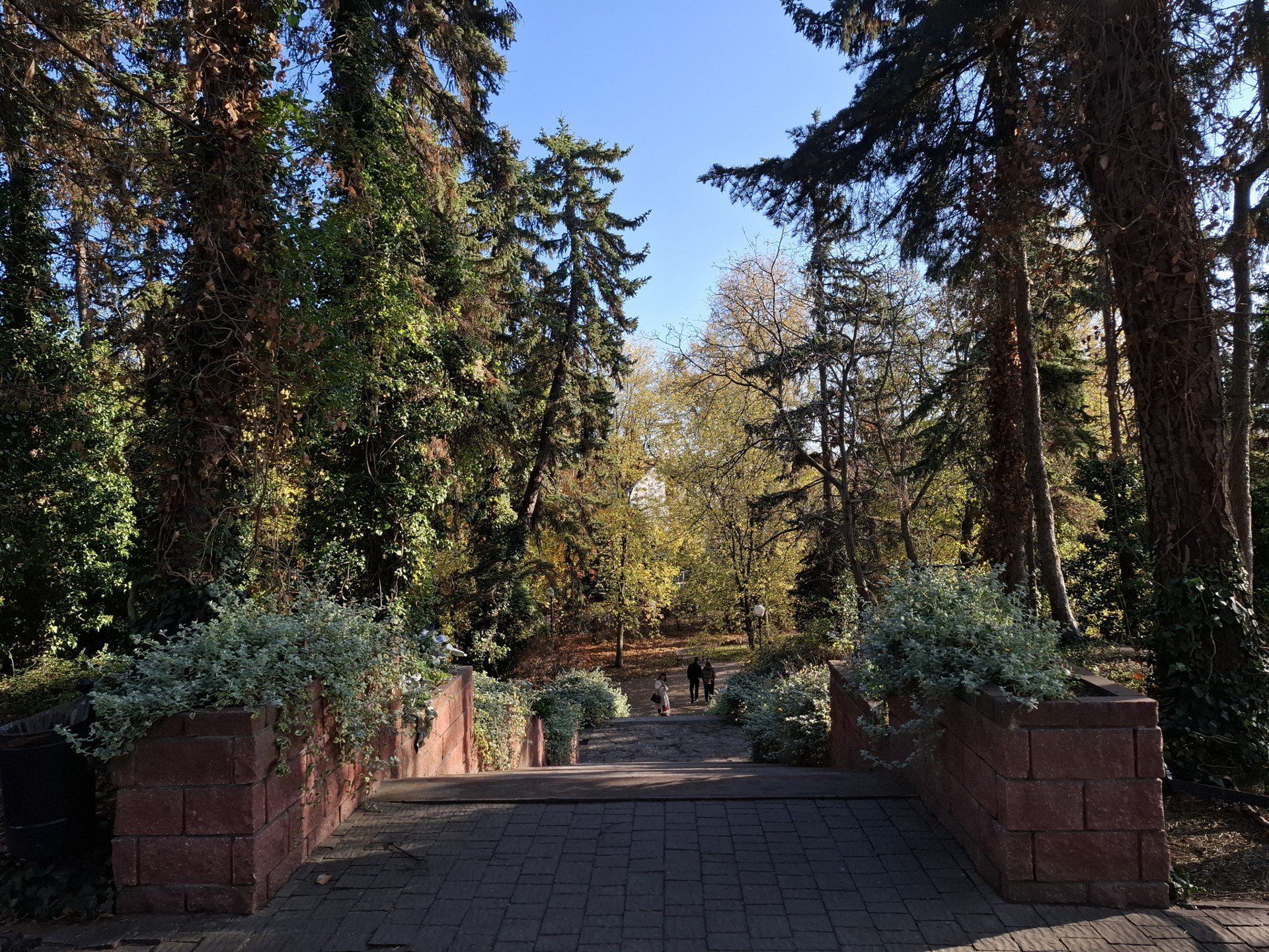 Czy to najpiękniejsze miejsce w Warszawie? Park w samym sercu Żoliborza zachwyca