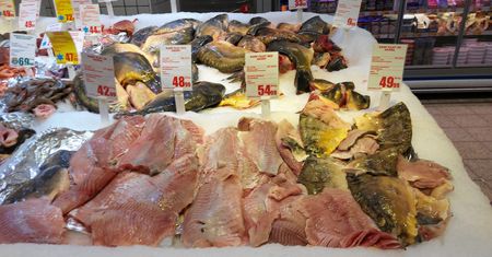 Cena karpia na święta. Ekspert podał prognozę
