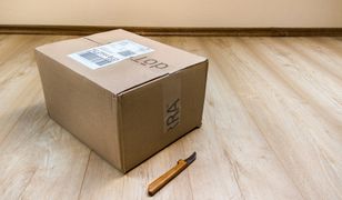 Zakupy przez internet. Warunki dostawy to ważne kryterium