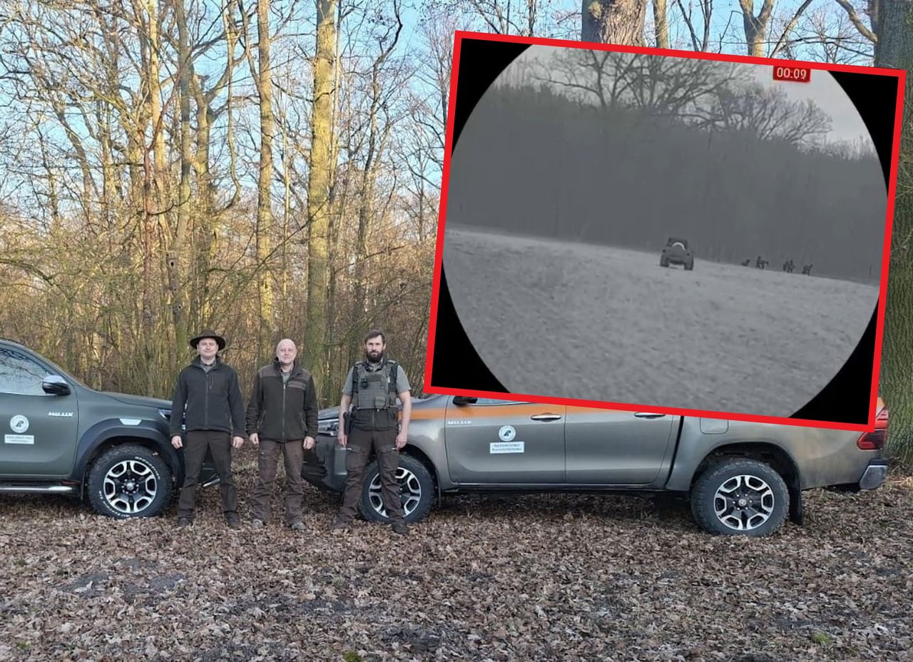 Kontrolują lasy. Oto, co kobieta zrobiła w nocy. Została ukarana dwoma mandatami