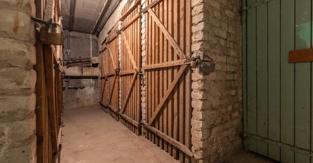 Tego nie wolno trzymać w piwnicy. Grozi mandat do 5 tys. zł