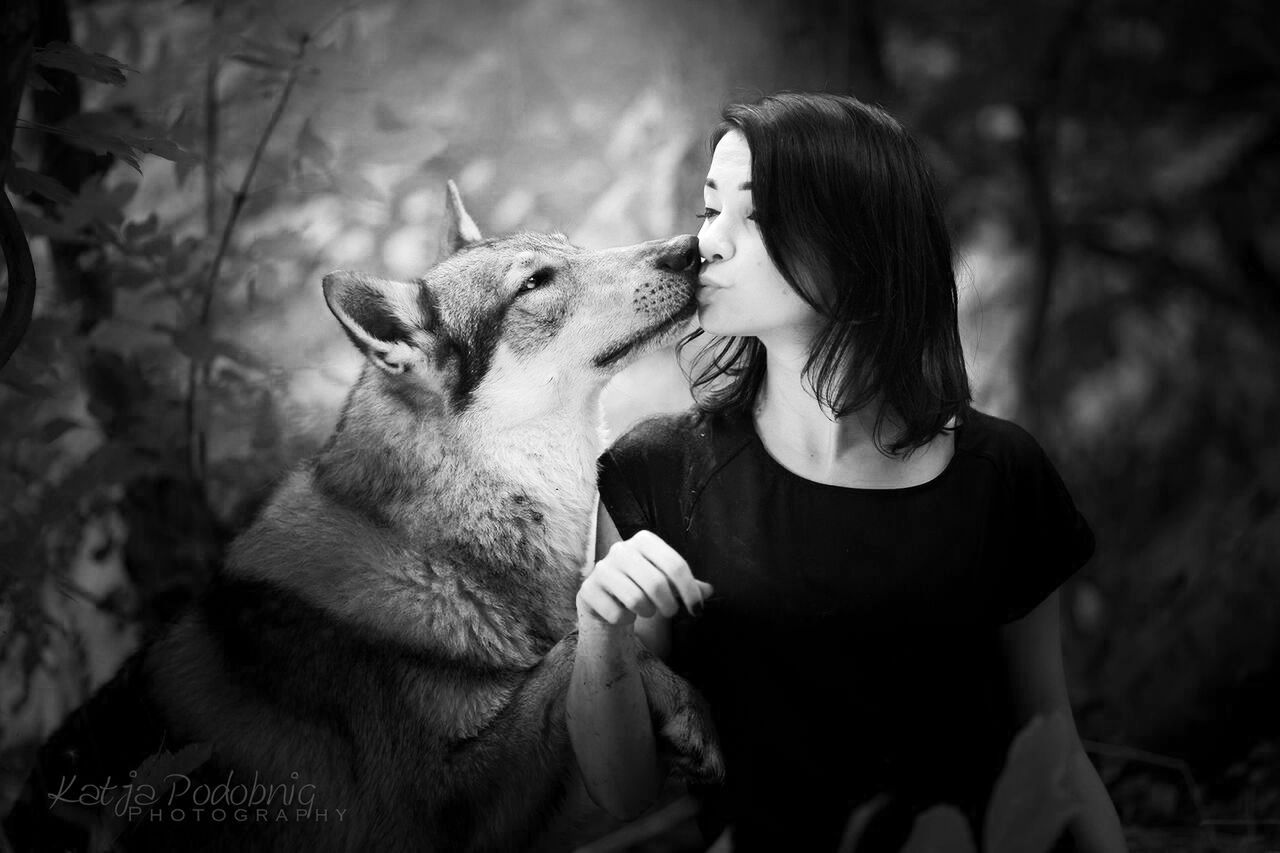 Jak fotografować psy, aby pokazać ich prawdziwy charakter? [poradnik] 32