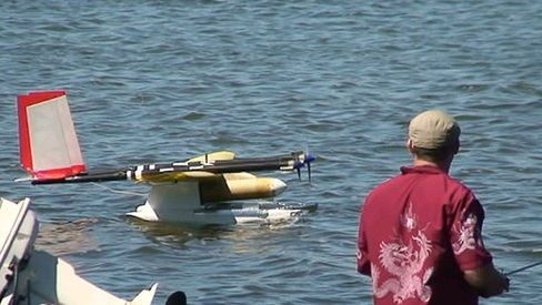 DARPA bawi się z delfinami 1