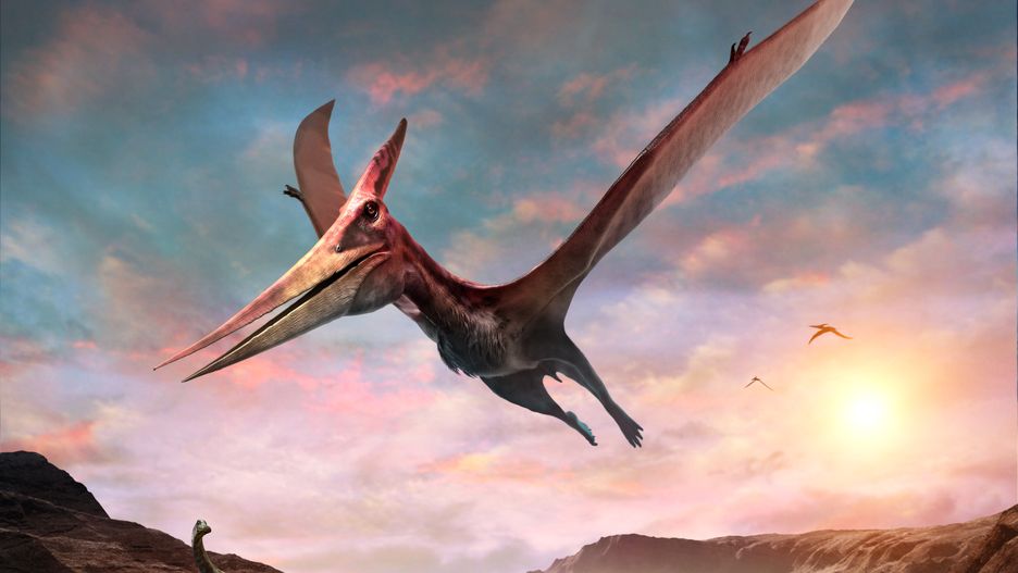 ptelozaur