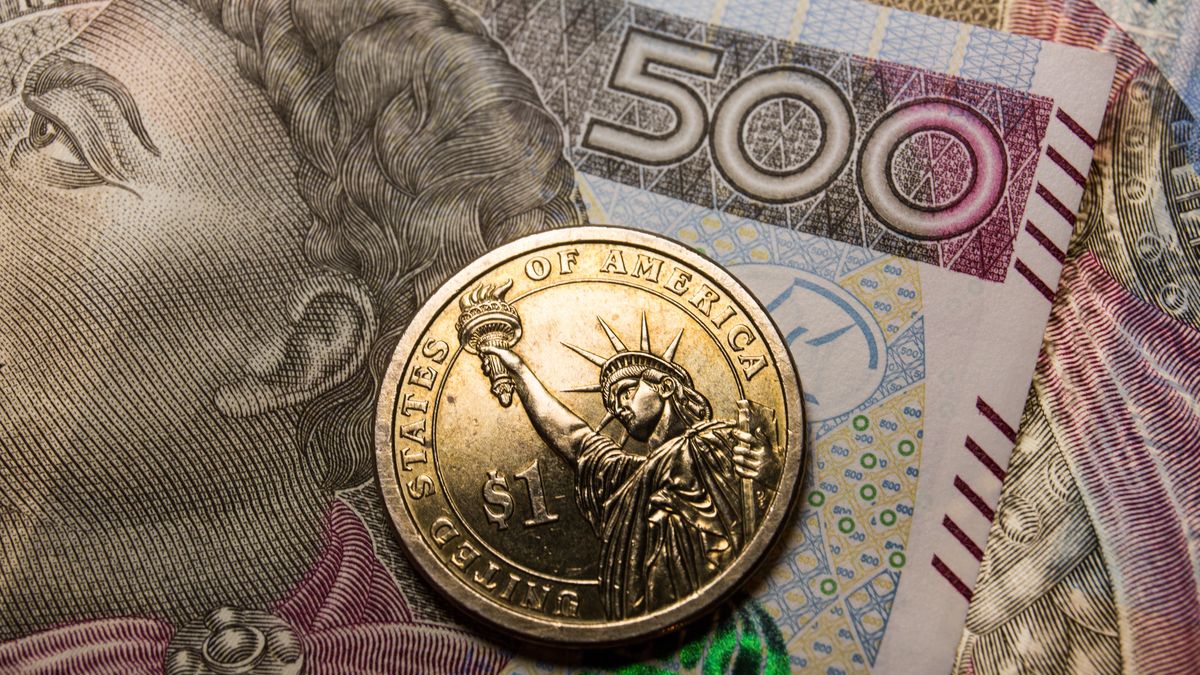 POLAND - 2022/03/09: In this photo illustration, a reverse of the United States 1 dollar coin with Statue of Liberty and Polish 500 zloty banknote are seen displayed. (Photo Illustration by Karol Serewis/SOPA Images/LightRocket via Getty Images)