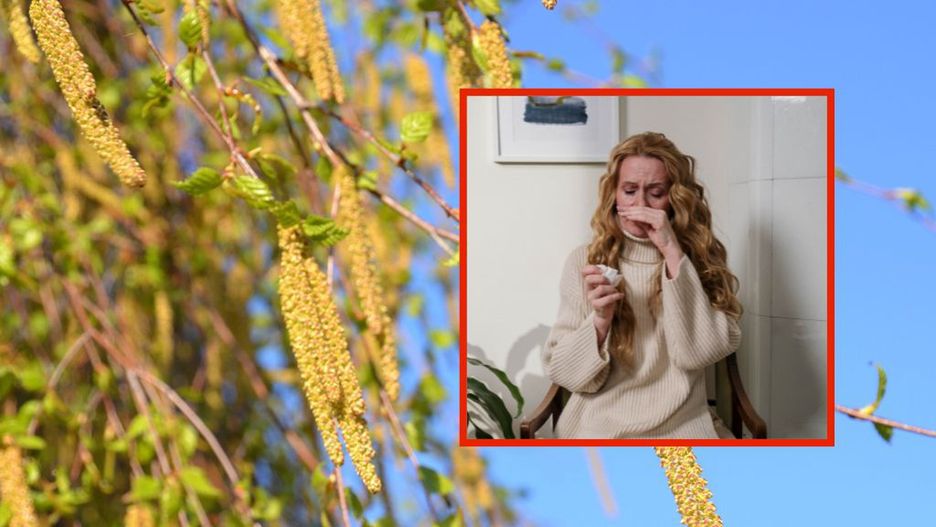 Co pyli w maju? Kalendarz alergika