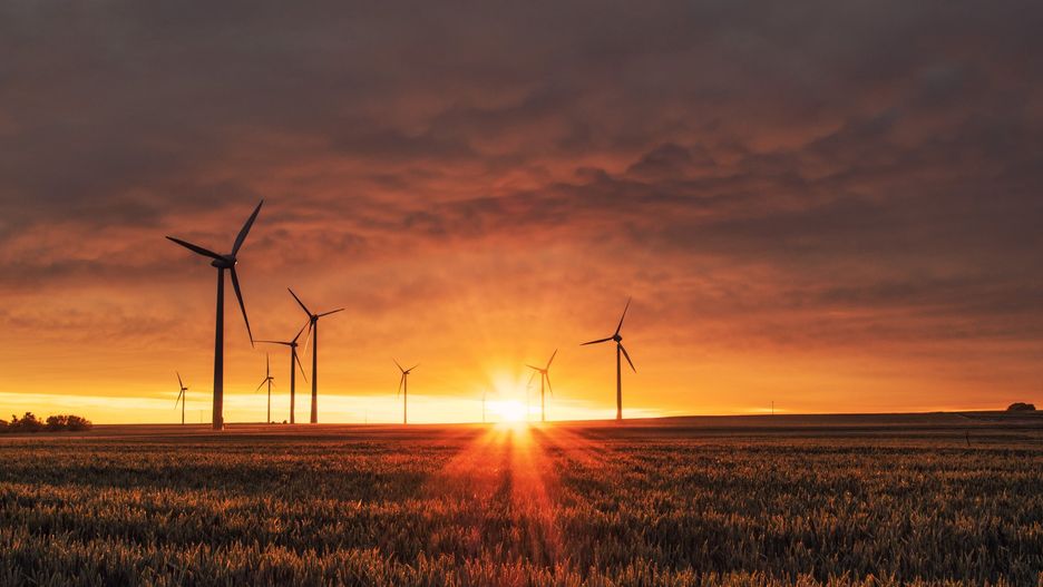 Dla klimatu każdy gest ma znaczenie