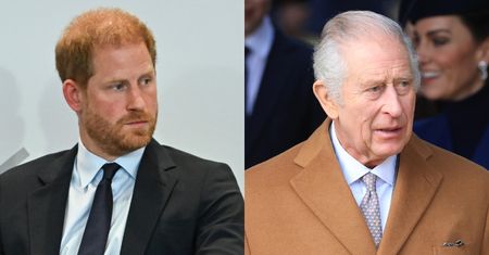 Eksperci apelują do księcia Harry'ego po spotkaniu z Karolem: "To jego ostatnia szansa"