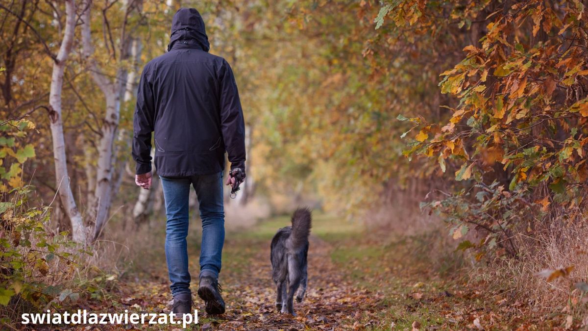 Jesień a kleszcze – czy naprawdę jest się czego bać?