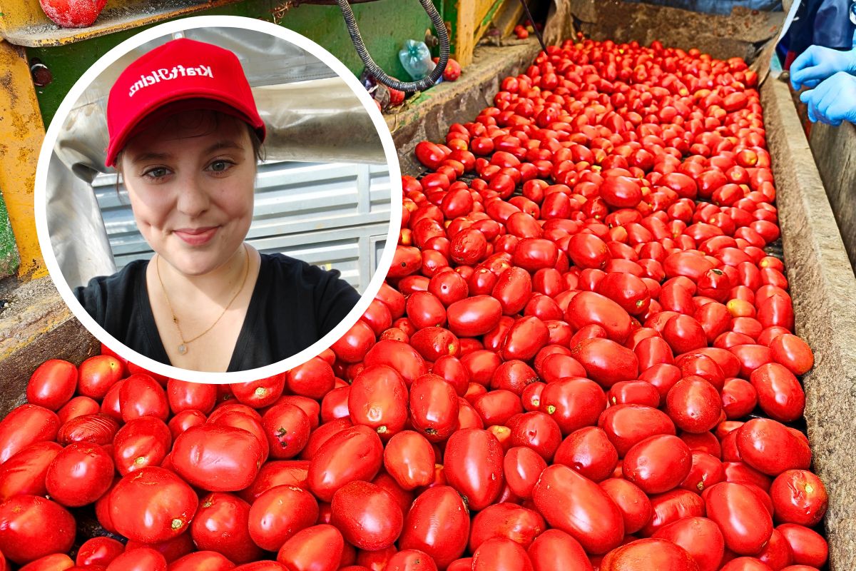 Wskoczyłam na kombajn w Pudliszkach. W tej wsi od wieku powstaje kultowy ketchup