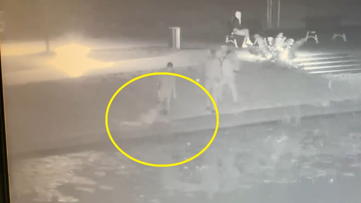 Przechodnie uratowali kota z rzeki 