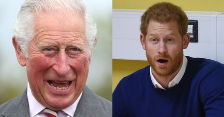 Książę Karol POZBYŁ SIĘ zdjęć księcia Harry'ego?! (FOTO)