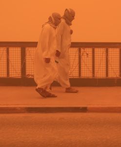 Asifa turabija. W Iraku nikt przed nią nie ucieknie