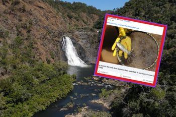 Przetrwała tu miliony lat. Teraz grozi jej wyginięcie