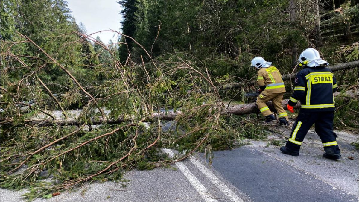 Tragiczne skutki wichur na Podhalu