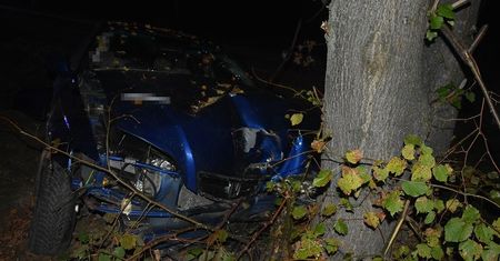 Uderzyła hondą w drzewo. Miała 1,6 promila