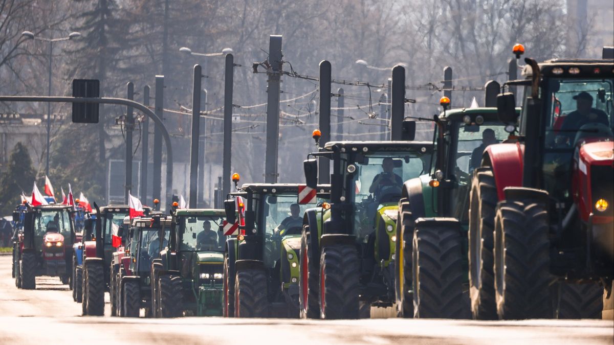 Rolnicy domagają się pomocy od rządu i planują protesty