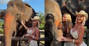 Izabela Macudzińska z córką dokarmiają słonie w Tajlandii. Fajna "zabawa"? (ZDJĘCIA)