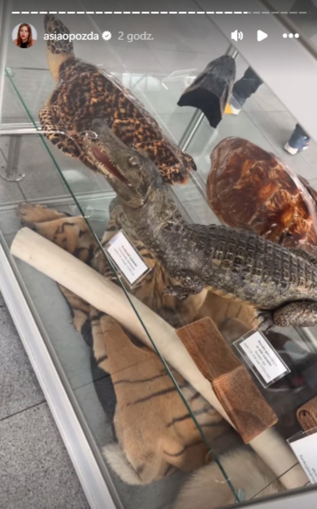 Relacja Joanny Opozdy. Szokujące słowa innej podróżnej