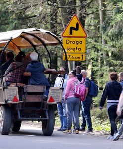 Tatry zamknięte dla elektrycznych hulajnóg. A mogły odciążyć konie w drodze do Morskiego Oka