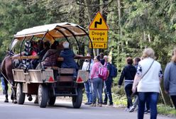 Tatry zamknięte dla elektrycznych hulajnóg. A mogły odciążyć konie w drodze do Morskiego Oka